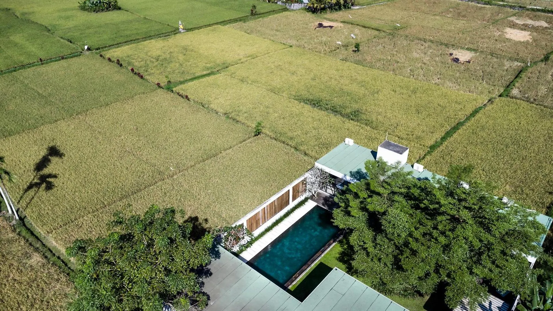 Loft Matahari By Balisuperhost Villa Ubud  Indonesia